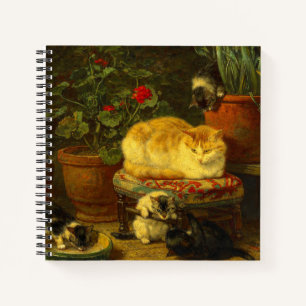 Carnet Les chatons en jeu