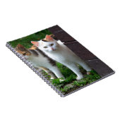 Carnet Les chats jouent (Côté Droit)
