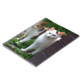 Carnet Les chats jouent (Côté gauche)
