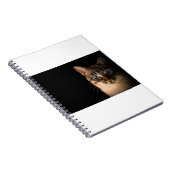 Carnet Les Chats Sont Les 20 Meilleurs (Côté Droit)