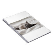 Carnet Les Chats Sont Les Meilleurs 66 (Côté Droit)