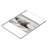Carnet Les Chats Sont Les Meilleurs 66 (Côté gauche)