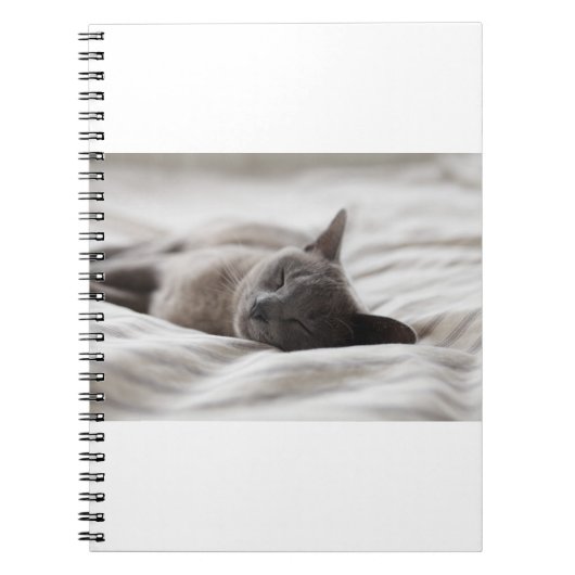 Carnet Les Chats Sont Les Meilleurs 66 (Devant)