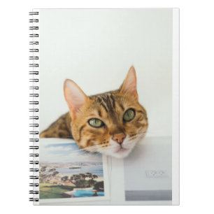 Carnet Les Chats Sont Les Meilleurs 76