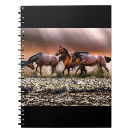 Carnet Les chevaux à la plage (Devant)