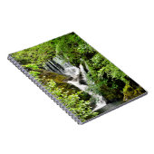 CARNET LES CHUTES D'EAU (Côté Droit)