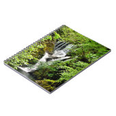 CARNET LES CHUTES D'EAU (Côté gauche)