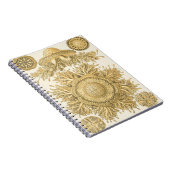 Carnet Les créatures de la mer d'or (Côté Droit)