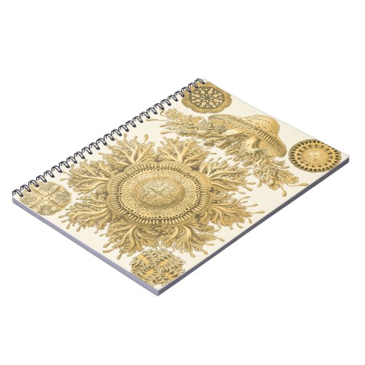 Carnet Les créatures de la mer d'or (Côté gauche)