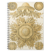 Carnet Les créatures de la mer d'or (Devant)