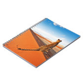 Carnet Les déserts | Désert de Cheetah Savannah (Côté gauche)