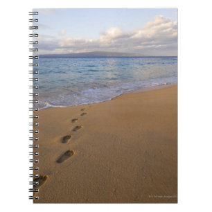 Carnet Les Etats-Unis, Hawaï, Maui, Wailea, empreintes d