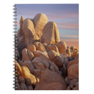 Carnet Les Etats-Unis, la Californie, parc national