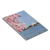 Carnet Les Etats-Unis, Washington DC, cerisier (Côté Droit)