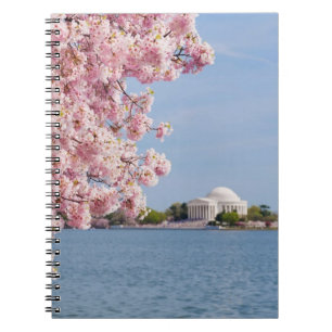 Carnet Les Etats-Unis, Washington DC, cerisier