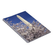 Carnet Les Etats-Unis, Washington DC. Festival de fleurs (Côté Droit)