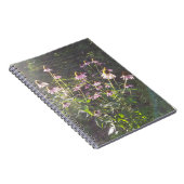 Carnet Les fleurs d'échinacée au soleil (Côté Droit)