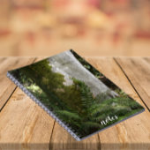 Carnet Les fougères et la mousse Arbre couvert Nature Pho