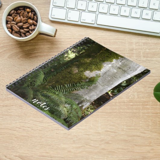 Carnet Les fougères et la mousse Arbre couvert Nature Pho