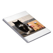 Carnet Les Fubby se cachent du chat Ping. (Côté Droit)