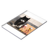 Carnet Les Fubby se cachent du chat Ping. (Côté gauche)