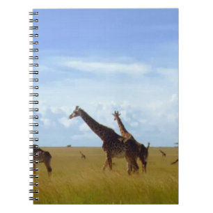 Carnet Les Giraffes du Parc National de Nairobi