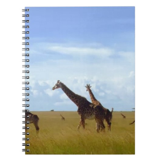 Carnet Les Giraffes du Parc National de Nairobi (Devant)