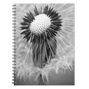 Carnet Les graines de demain