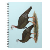 Carnet Les Jeunes Filles de Turkeys (Devant)