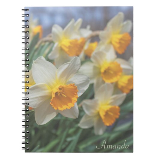 Carnet Les jonquilles gaies (défraîchies) (Devant)