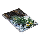 Carnet Les jonquilles jaunes dans la neige (Côté Droit)