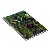 Carnet Les jungles de Tikal (Côté Droit)