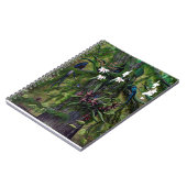 Carnet Les jungles de Tikal (Côté gauche)