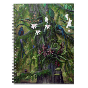 Carnet Les jungles de Tikal