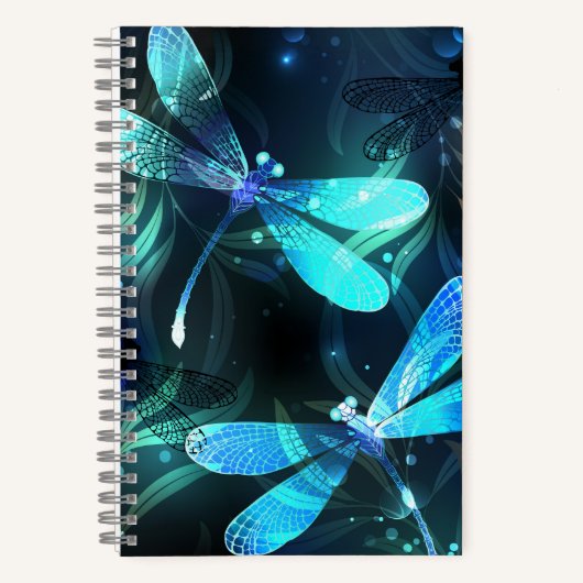 Carnet Les libellules du lac (Recto)