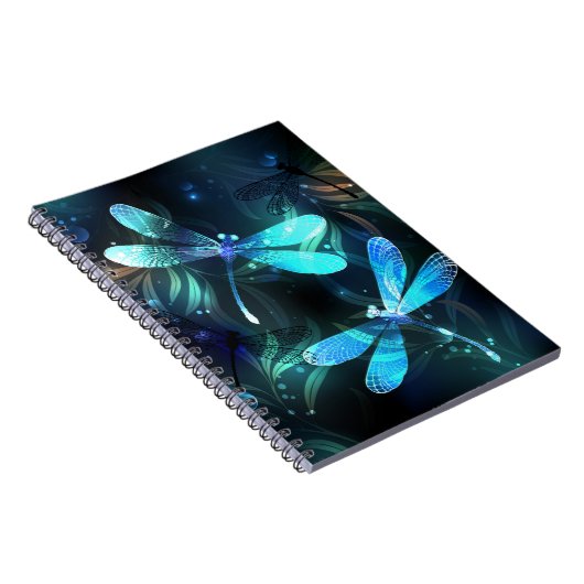 Carnet Les libellules du lac (Côté Droit)