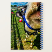 Carnet Les meilleurs amis sont les vaches (Verso)