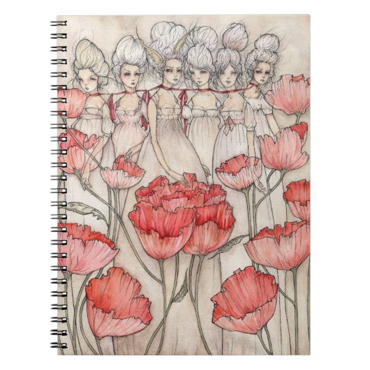 Carnet Les Merveilleuses (Devant)