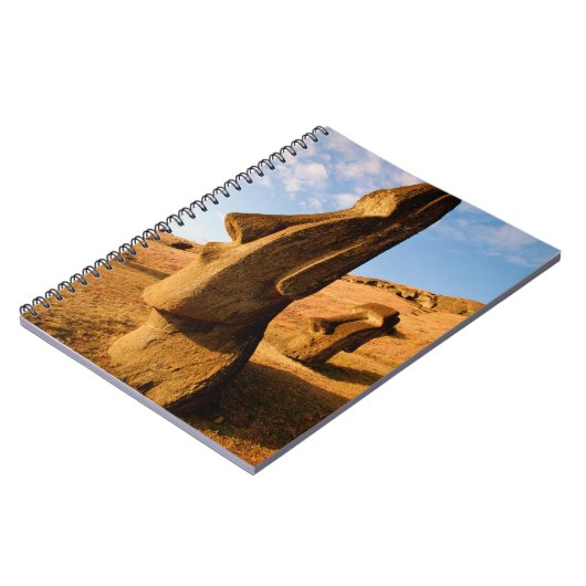 Carnet Les monuments | Île de Pâques (Côté gauche)