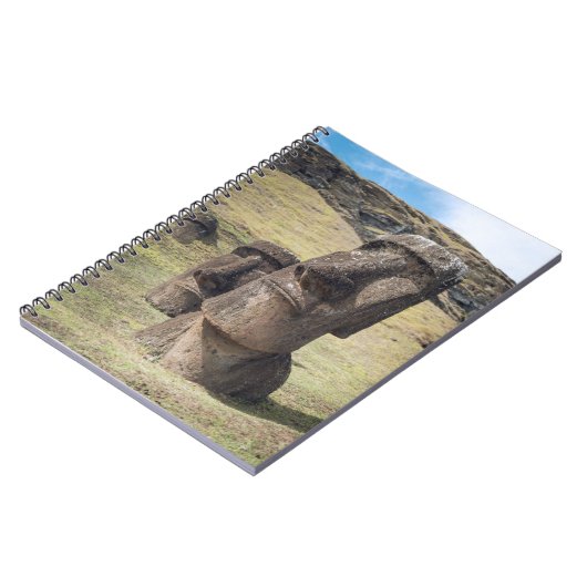 Carnet Les monuments | Île de Pâques, Chili (Côté gauche)