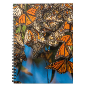 Carnet Les papillons monarques migrateurs s'accrochent au
