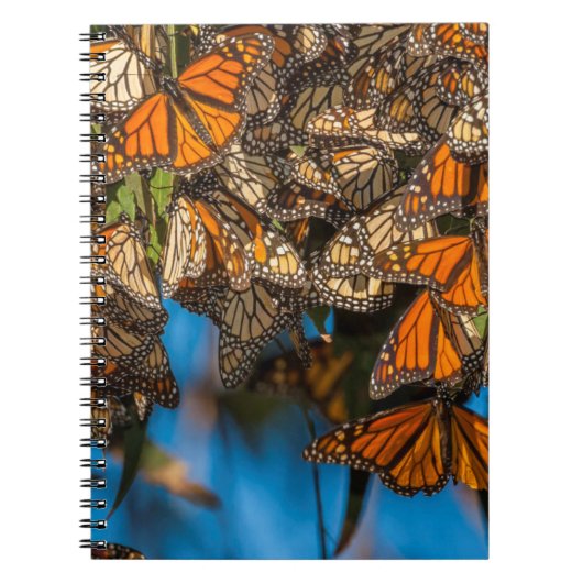 Carnet Les papillons monarques migrateurs s'accrochent au (Devant)