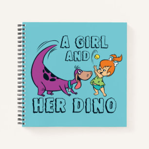 Carnet Les Pierrafeu Galets & Dino Play Ball