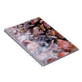 Carnet Les Pierres De Plage Du Lac Supérieur Sous L'Eau (Côté Droit)