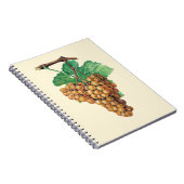Carnet Les raisins "blanc de terret", couleur : (Côté Droit)