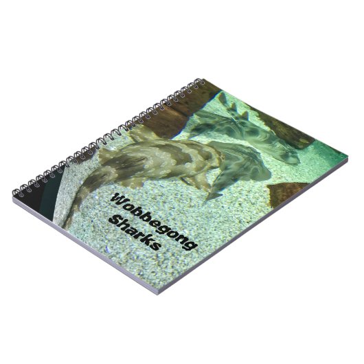 Carnet Les requins Wobbegong (Côté gauche)