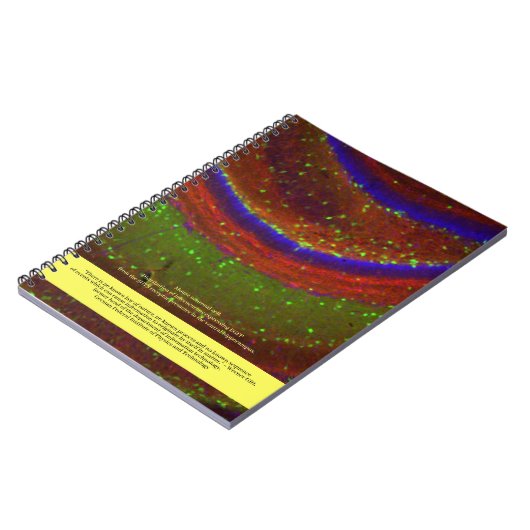 Carnet Les scientifiques disent ... Citation et cellule n (Côté gauche)