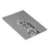 Carnet Les sculptures romaines dans la composition modern (Côté Droit)