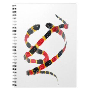Carnet Les serpents de corail Art animal