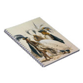 Carnet Les soldats de zoulou d'Army du Roi Panda's, (Côté Droit)